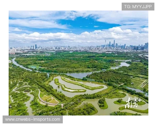 体育科技与植物学跨界合作，场馆绿化设计优化空气质量